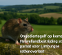 ChatGPT Image 7 aug 2025 16_46_54 90x80
